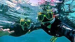 Tripadvisor veröffentlicht jedes Jahr ein Ranking von Touren und Erlebnissen, die die Nutzerinnen und Nutzer der Plattform besonders überzeugen.