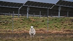 A leendő magyar kormány egyik legfontosabb feladata az energetikai diverzifikáció
