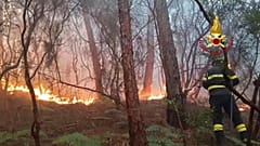 Brand des Monte Faeta in der Toskana