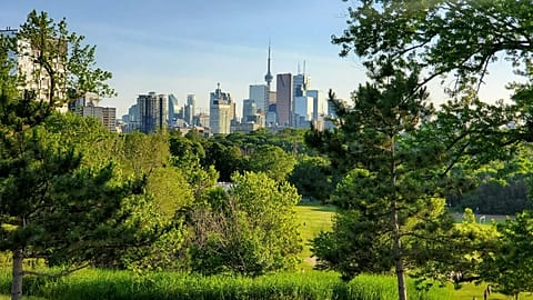 Connection to nature is key to a calmcation