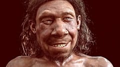 Neandertal temsili