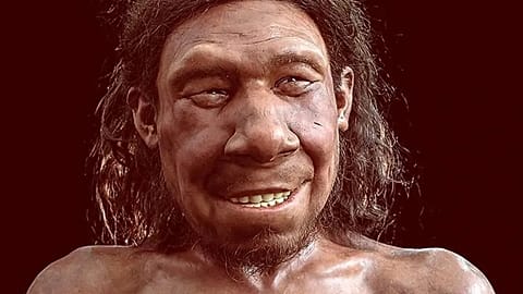 Neandertal temsili