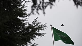 طائر يطير بجوار علم المملكة العربية السعودية على سطح مبنى قنصليتها في إسطنبول