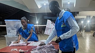 Strike delays release of election results in Central African Republic