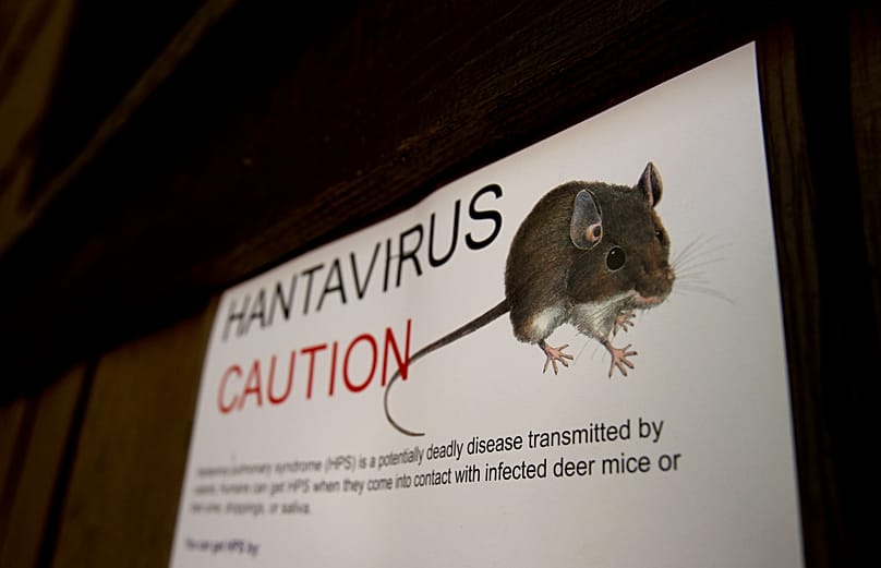 Des panneaux d'avertissement concernant le hantavirus installés au parc national de Yosemite. Archive