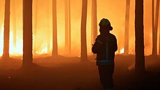 Pożar objął zasięgiem trzy powiaty wojewóźtwa lubelskiego