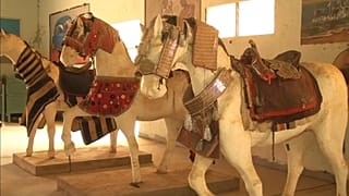 Cameroon's Demsa Museum traces the centuries-old history of horses