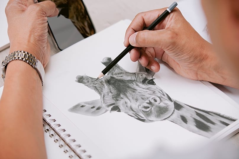 Skip drawing a giraffe.