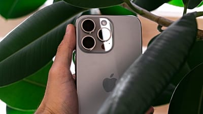 Some iPhone owners could get up to $95 payment after Apple agrees to settle case for $250 million