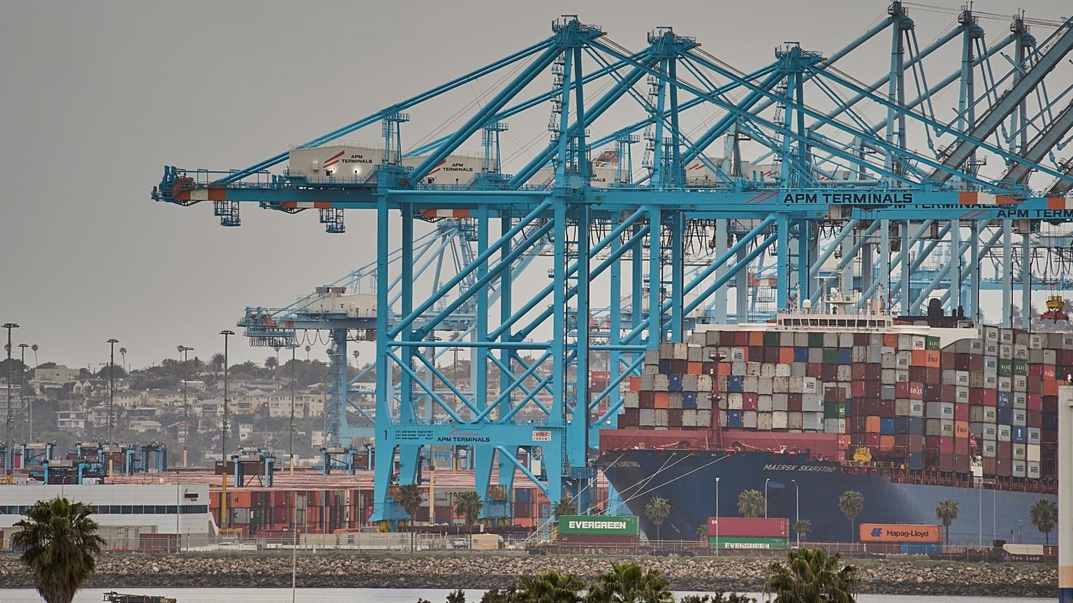 Архивное фото: контейнеровоз «Maersk Skarstind» стоит у причала терминала APM Terminals в порту Лос-Анджелеса. 15 апреля 2025 года.