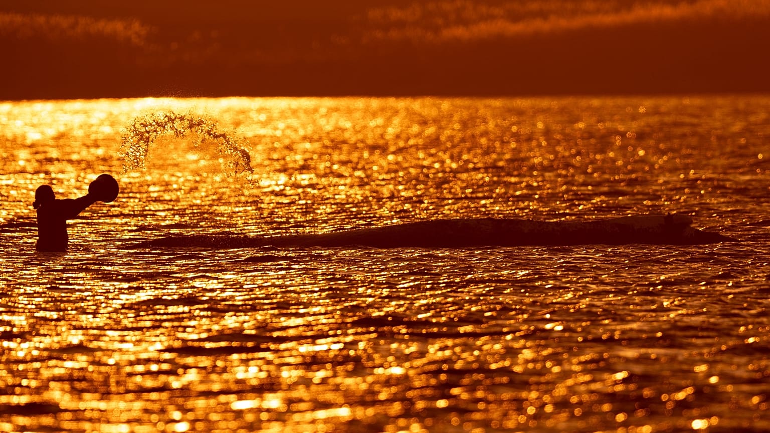 Una persona spruzza acqua su una megattera spiaggiata al largo dell'isola di Poel, in Germania, al tramonto di venerdì 24 aprile 2026.