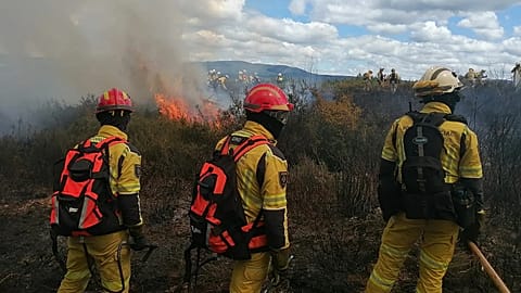 More than 700 operatives from various European countries took part in the exercise