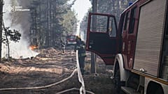 Пожар в Чернобыльской зоне отчуждения