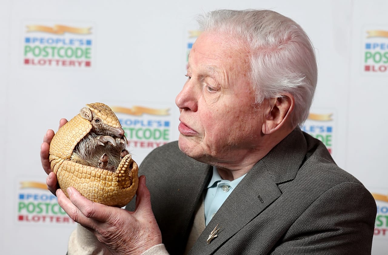 David Attenborough tiene in braccio Inti, l’armadillo, allo zoo di Edimburgo, 24 gennaio 2017.