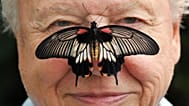 David Attenborough feiert heute seinen hundertsten Geburtstag