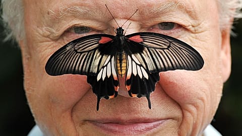 David Attenborough celebrates his 100th birthday today 
