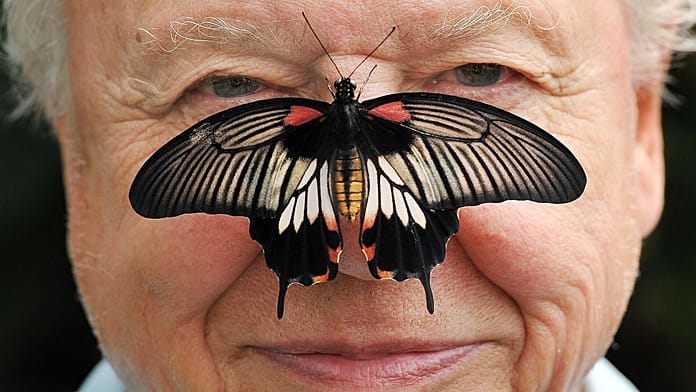 A life in pictures: Sir David Attenborough celebrates his 100th birthday Across decades of groundbreaking documentaries, Sir David Attenborough has brought the beauty and fragility of life on Earth into homes around the world. Today he turns 100.