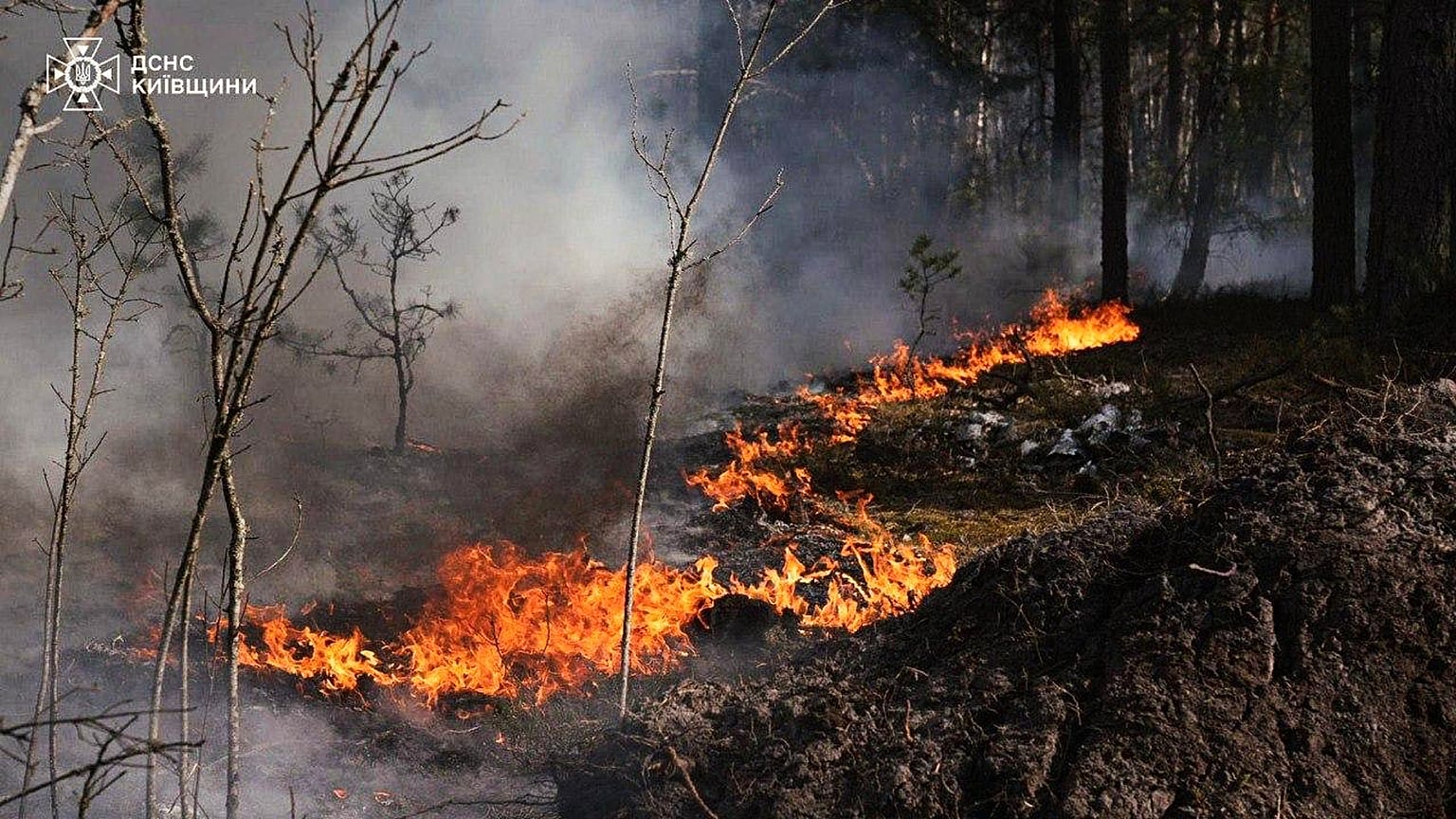 A forest fire burning in the exclusion zone around the Chernobyl nuclear power plant, 8 May, 2026