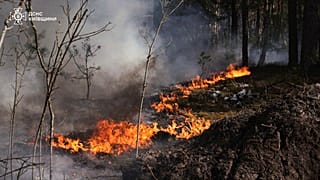 A forest fire burning in the exclusion zone around the Chernobyl nuclear power plant, 8 May, 2026