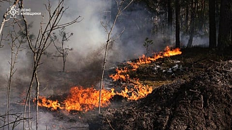 A forest fire burning in the exclusion zone around the Chernobyl nuclear power plant, 8 May, 2026