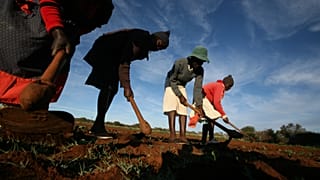 Zimbabwe : Harare amorce la restitution de fermes confisquées sous Mugabe