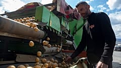 A worker inspects the potatoes in the village of Pestove, Kosovo, 26 March 2026
