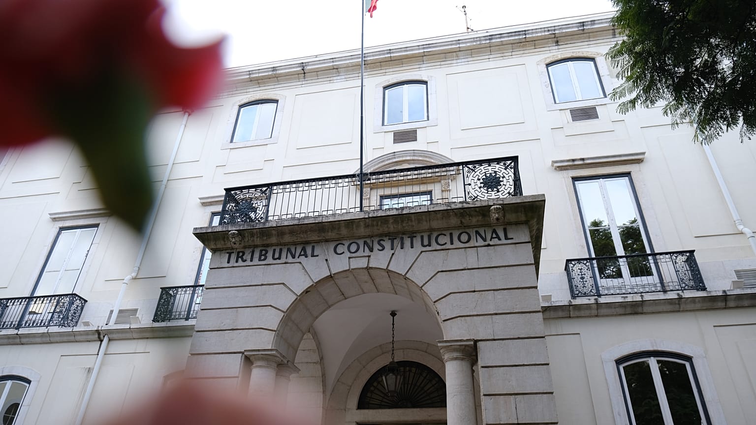 Tribunal Constitucional