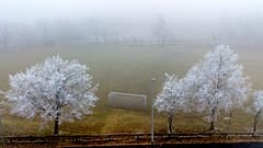 Eisheilige 2026: Wo die Kalte Sophie Frost bringt und was hinter dem Mythos steckt