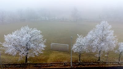 Eisheilige 2026: Wo die Kalte Sophie Frost bringt und was hinter dem Mythos steckt