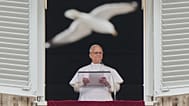 Una gaviota sobrevuela mientras el Papa León XIV recita la oración del mediodía del Regina Coeli desde la Plaza de San Pedro, en el Vaticano, el 10 de mayo de 2026.