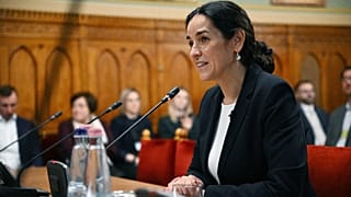Orbán Anita az Országgyűlés külügyi bizottsága előtt