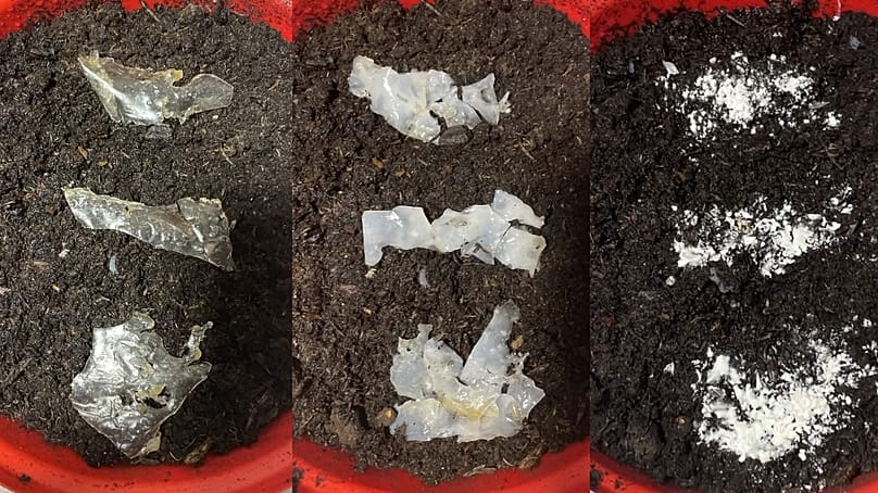 Three phases of biodegradation in soil, which releases the enzyme into the environment and further breaks down microplastics
