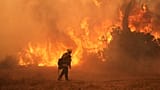 Un bombero combate el incendio Canyon el siete de agosto de 2025 en Hasley Canyon, California.