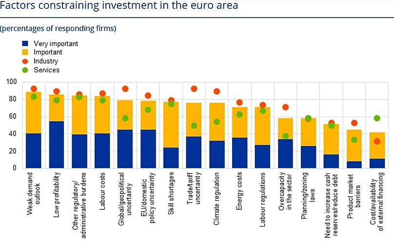 Factors constraining investment in the Euro area