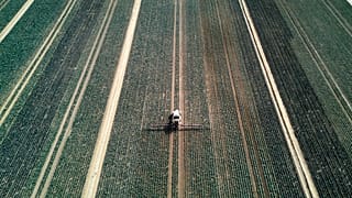Un agricoltore fertilizza un campo alla periferia di Francoforte, in Germania, mercoledì 21 maggio 2025.