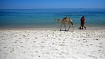 Guerre au Moyen-Orient : impact sur le tourisme tunisien