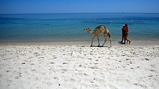 Guerre au Moyen-Orient : impact sur le tourisme tunisien