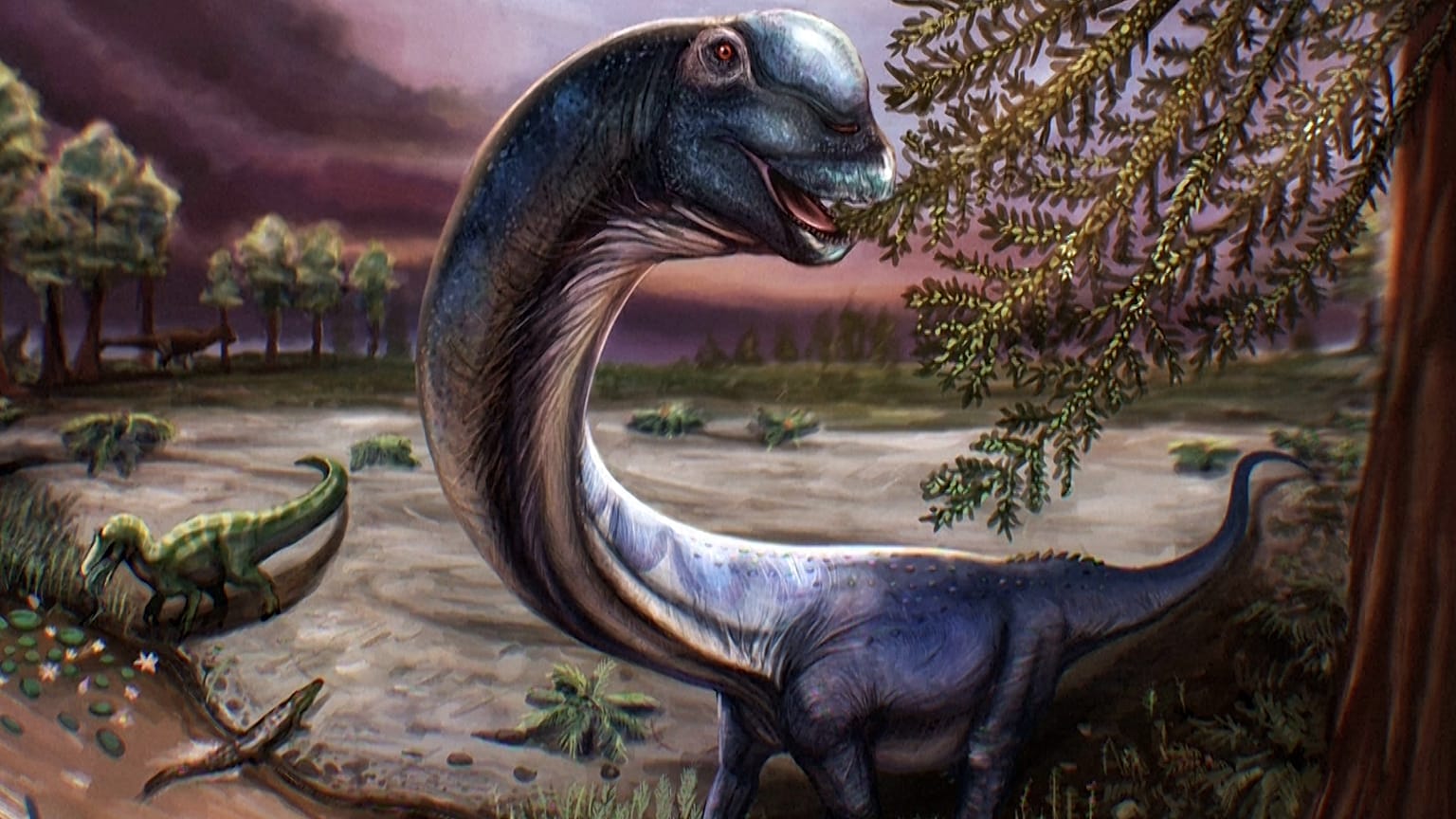 Meet a new type of long-necked plant-eating dinosaur