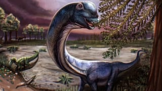 Meet a new type of long-necked plant-eating dinosaur