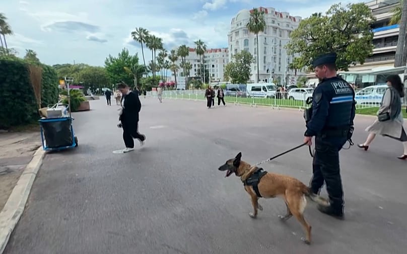 Um polícia e o seu cão farejador