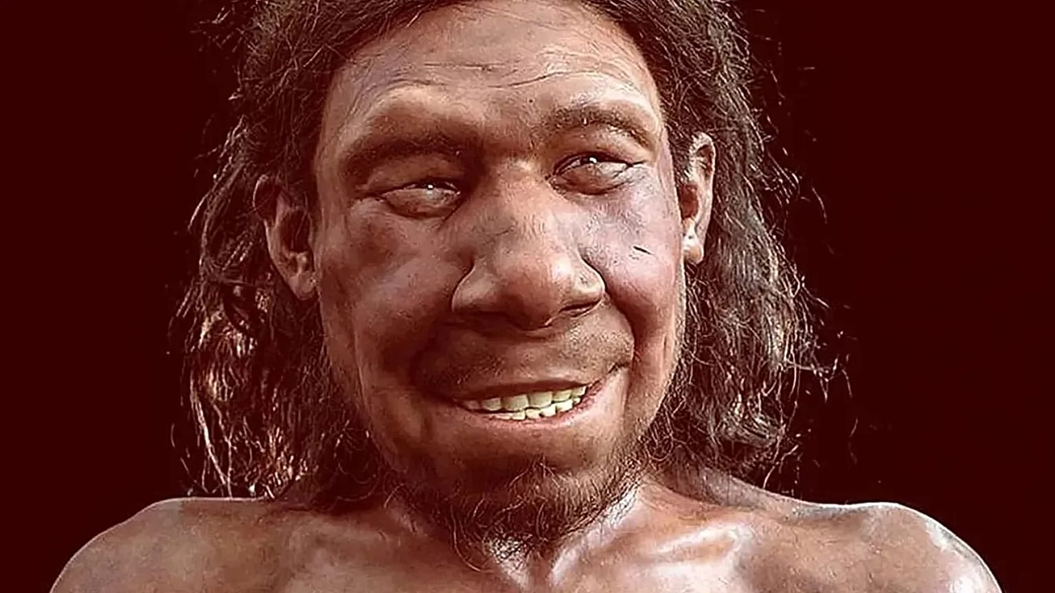 Neandertal temsili 