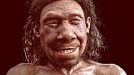 Neandertal temsili 