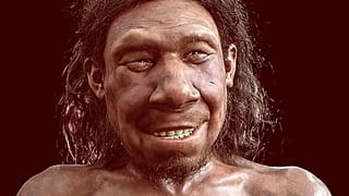 Neandertal temsili 
