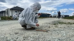 Untersuchung von Steinen im Gebiet Oladi-plató in Szombathely, das derzeit gebaut wird, am 14. Mai 2026
