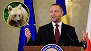 Karol Nawrocki adoptował w Rumunii niedźwiedzia. 