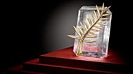 Palme d'or 2026