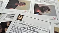 A document that was included in the US Department of Justice release of the Jeffrey Epstein files, 10 February, 2026