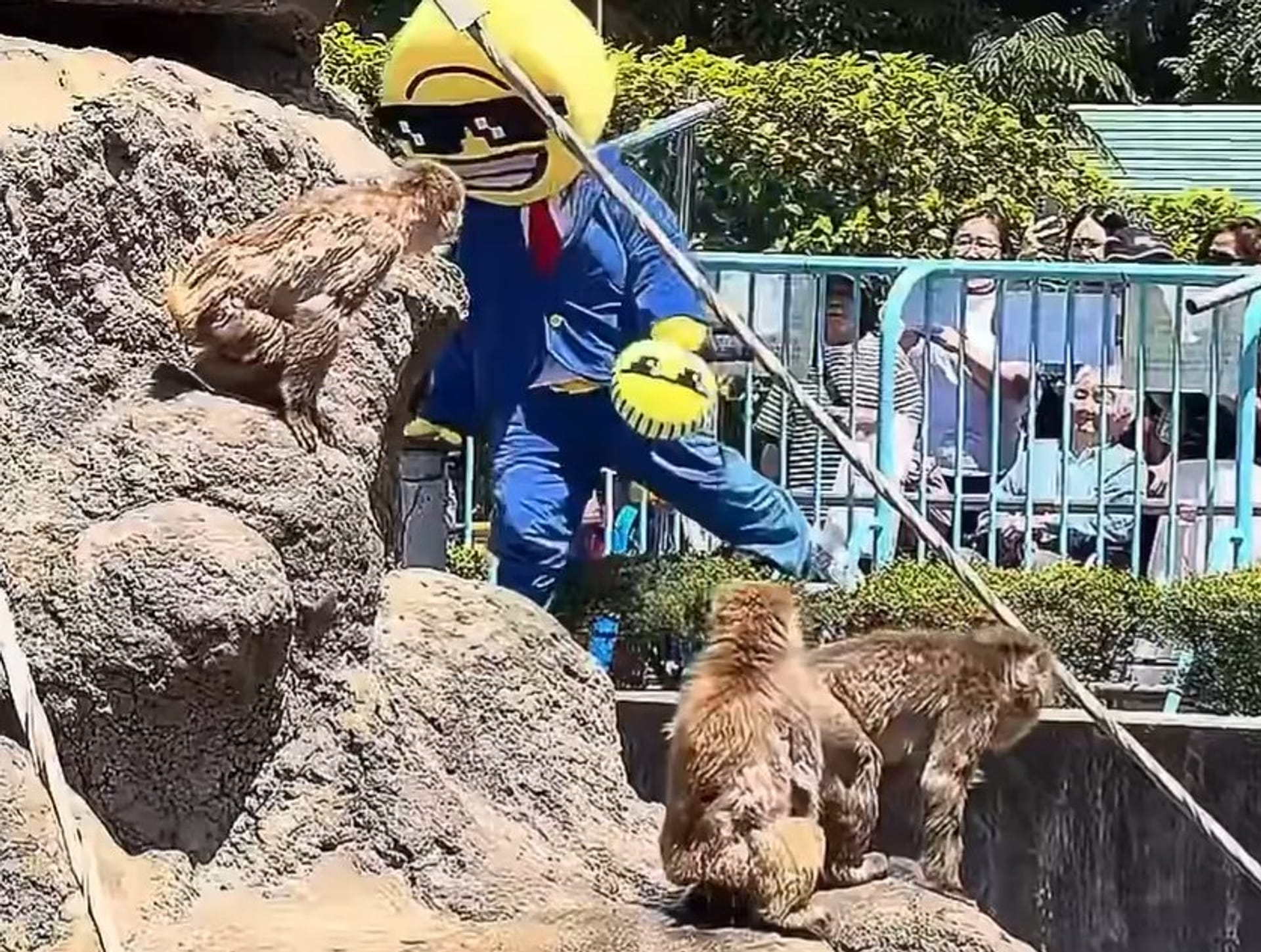 Japan arrests US nationals after one entered enclosure at viral baby ...
