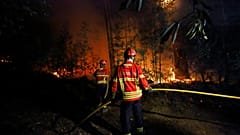 Feuerwehrleute bekämpfen einen Brand bei Sever do Vouga in Portugal, am achtzehnten September zweitausendvierundzwanzig.