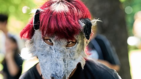 Phänomen "Therianer" wächst in Portugal
